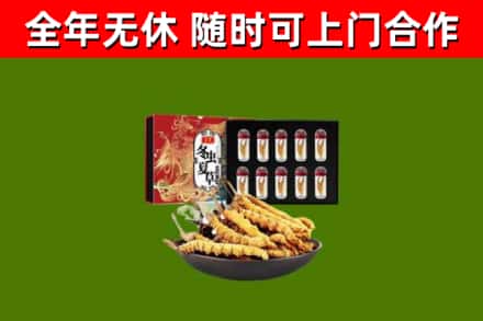 互助回收冬虫夏草价格