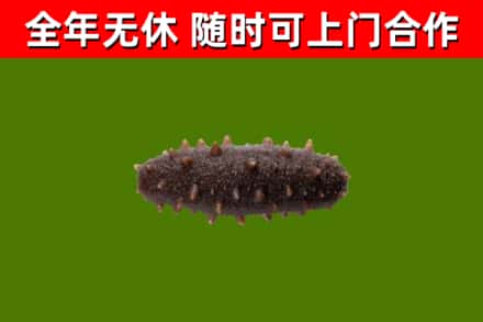 互助烟酒回收干海参.jpg